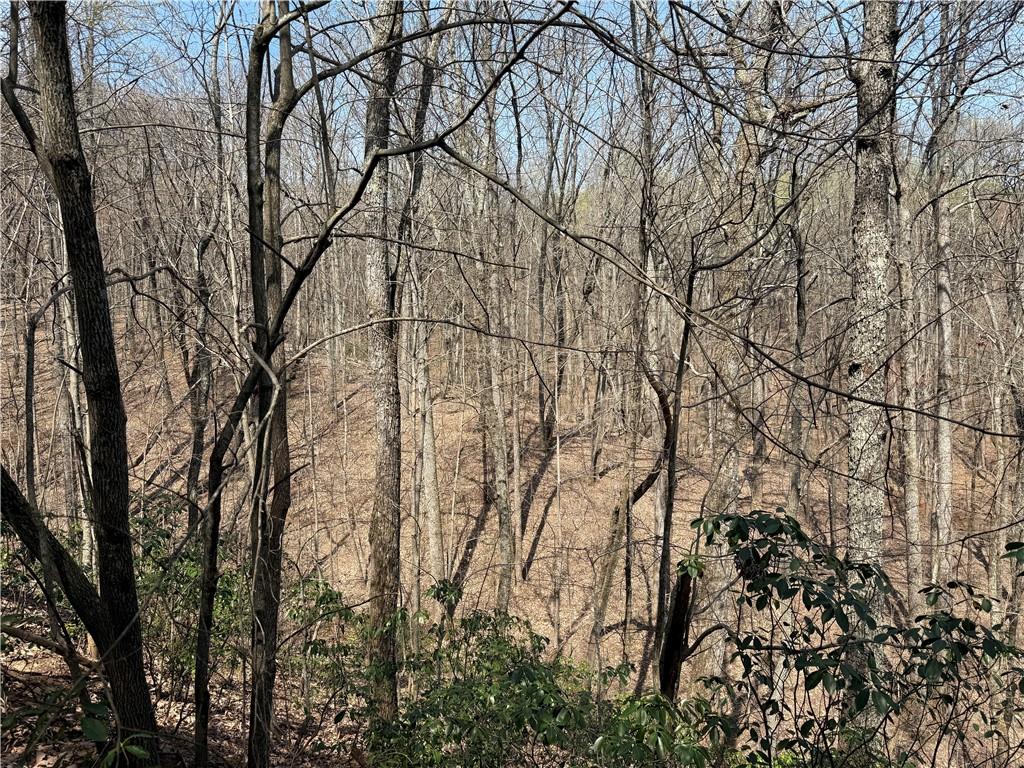 28 Sharp Mountain Court Property Photo 7