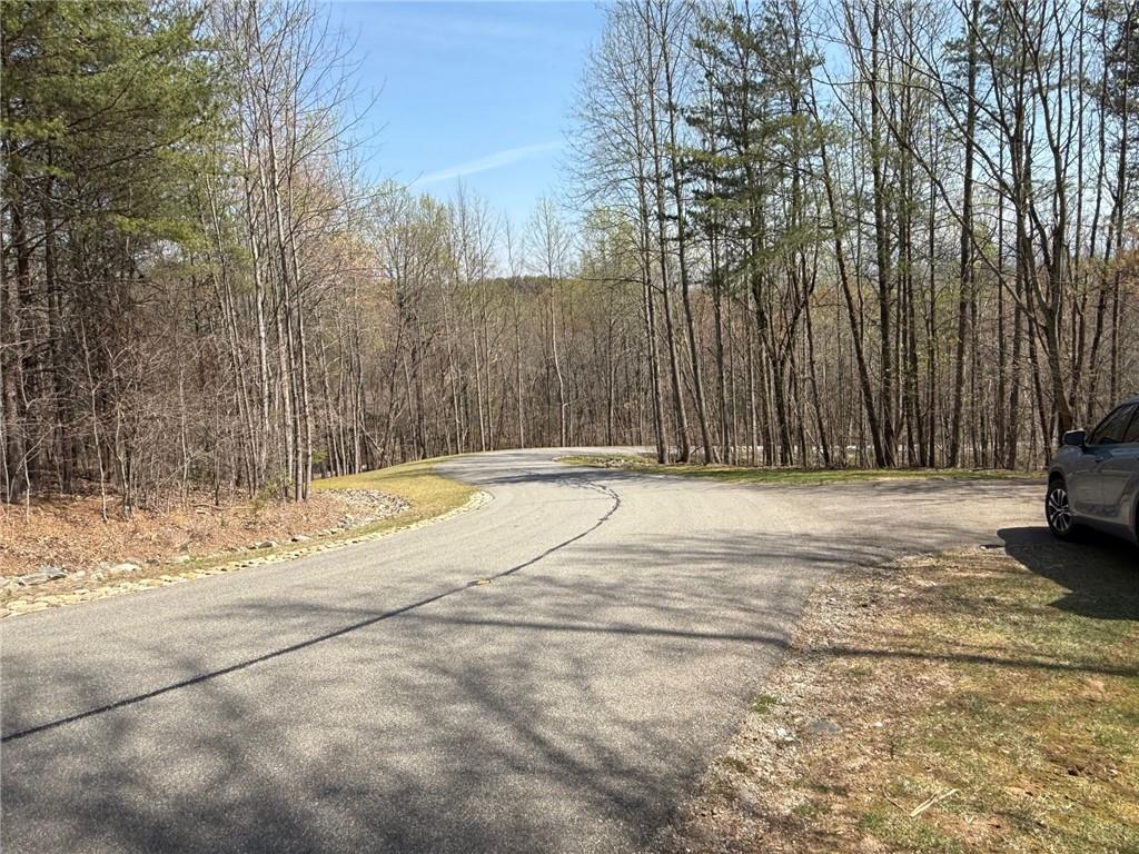 28 Sharp Mountain Court Property Photo 16
