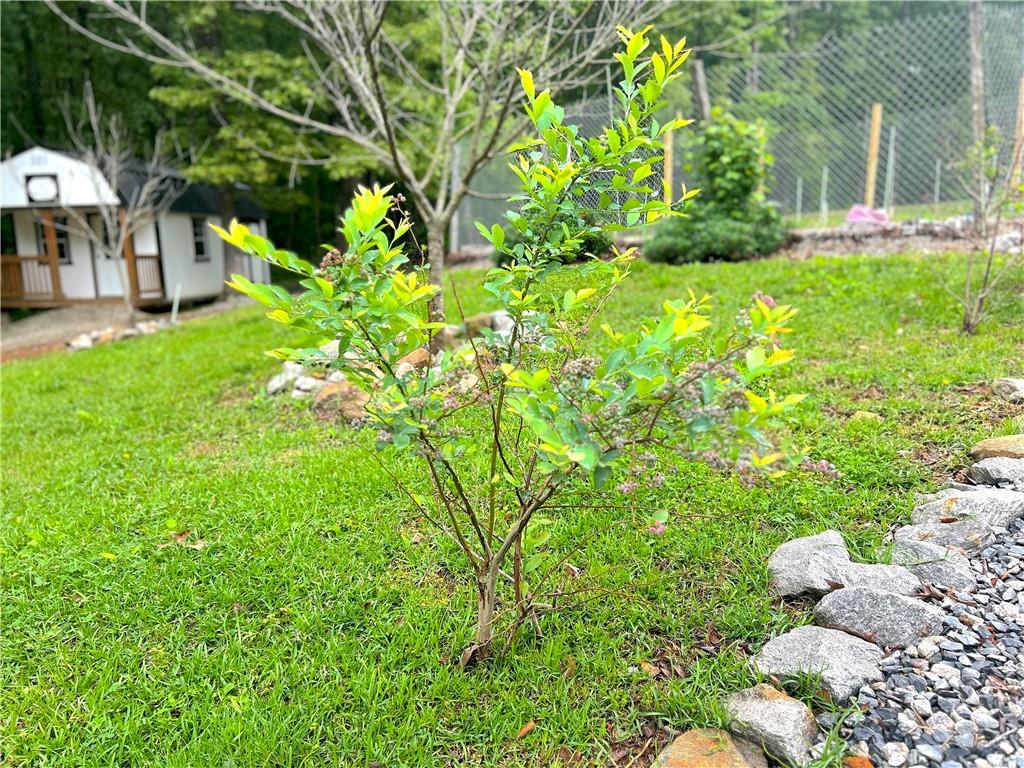 118 Raven Rd Property Photo 44