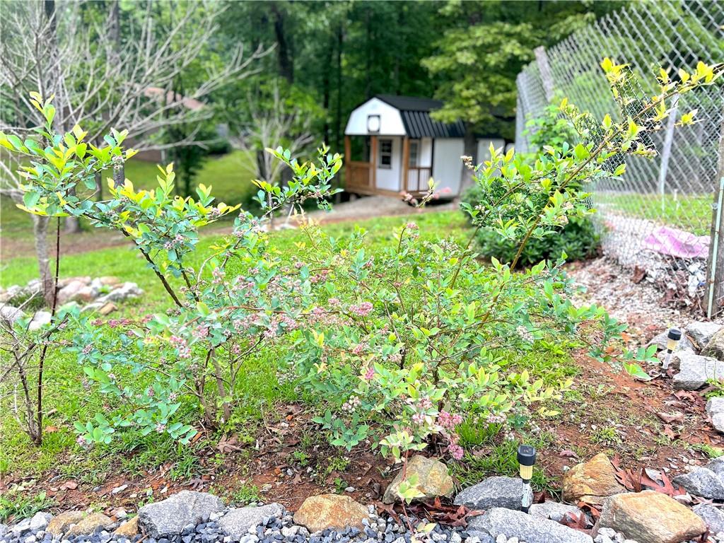 118 Raven Rd Property Photo 46