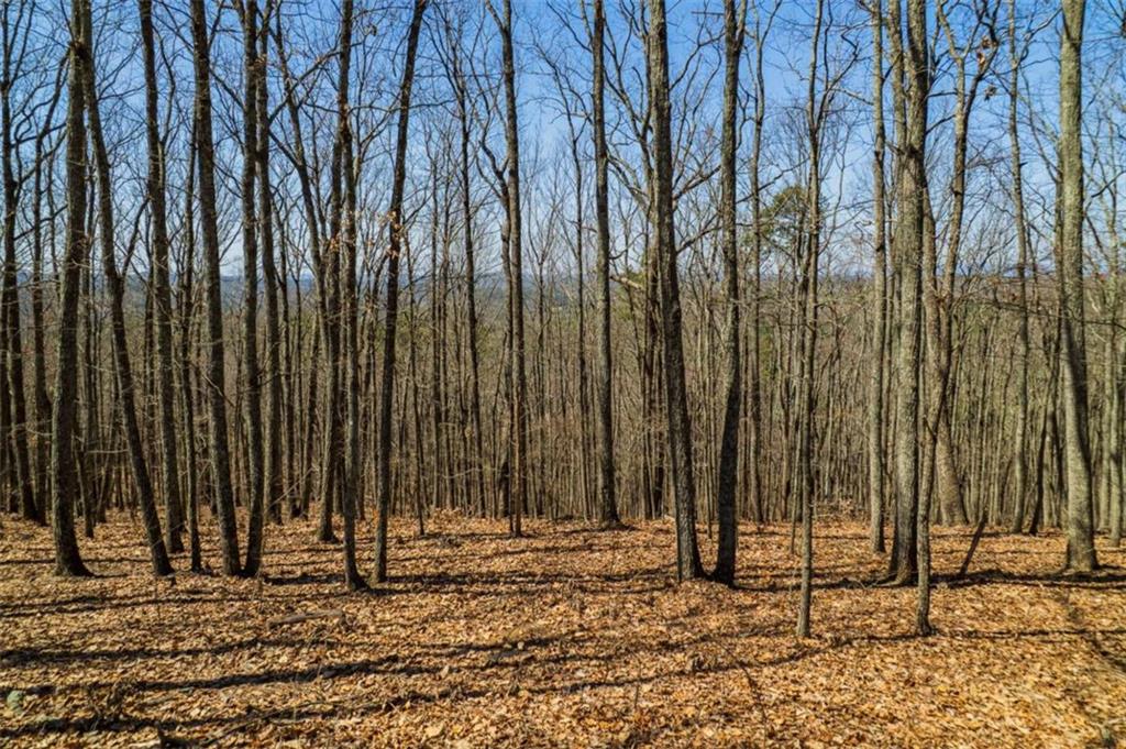 Lot 35 Heatherwood Way