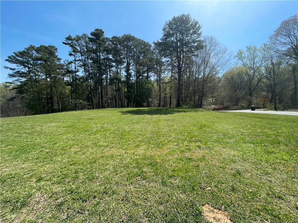 141 Dickson Road Property Photo 4