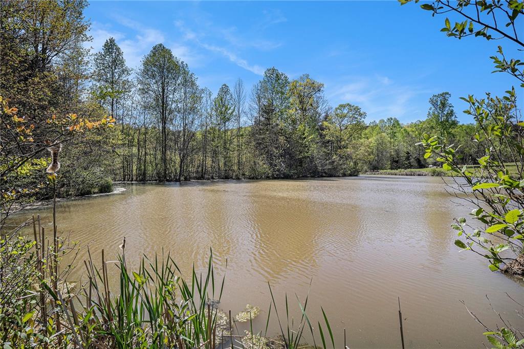 516 Martin Byers Road Property Photo 46