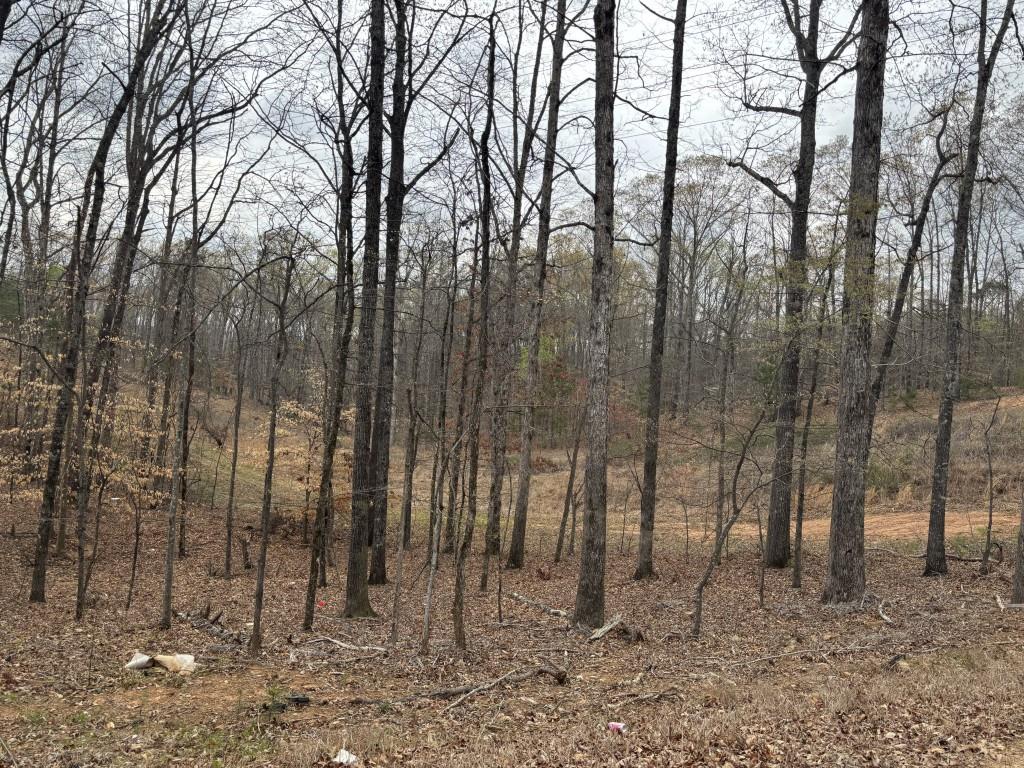 0 Summer Lake Road Property Photo 1