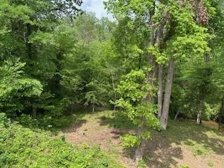 412 Nickajack Retreat Lane Property Photo 44