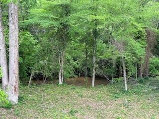 412 Nickajack Retreat Lane Property Photo 45