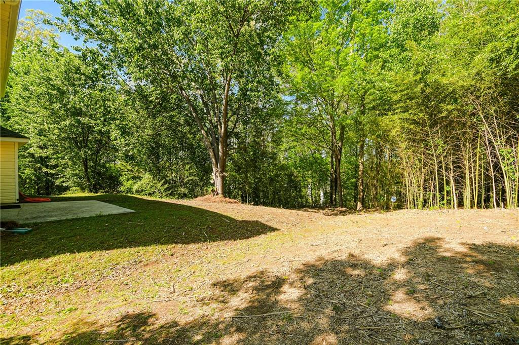 3554 Cherry Bloom Way Property Photo 30