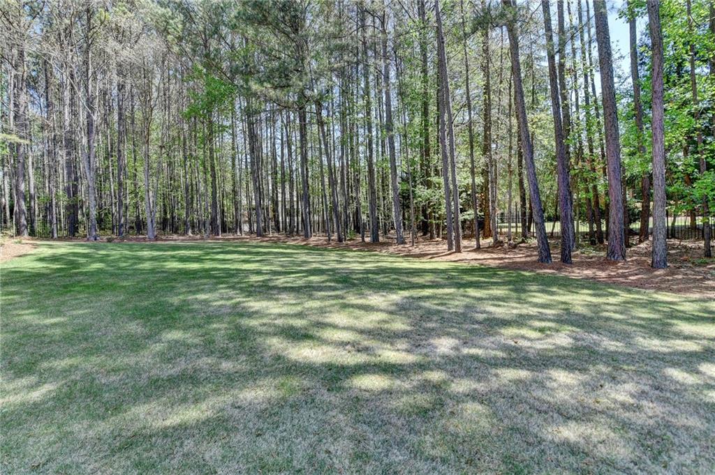 4505 Whitestone Way Property Photo 89