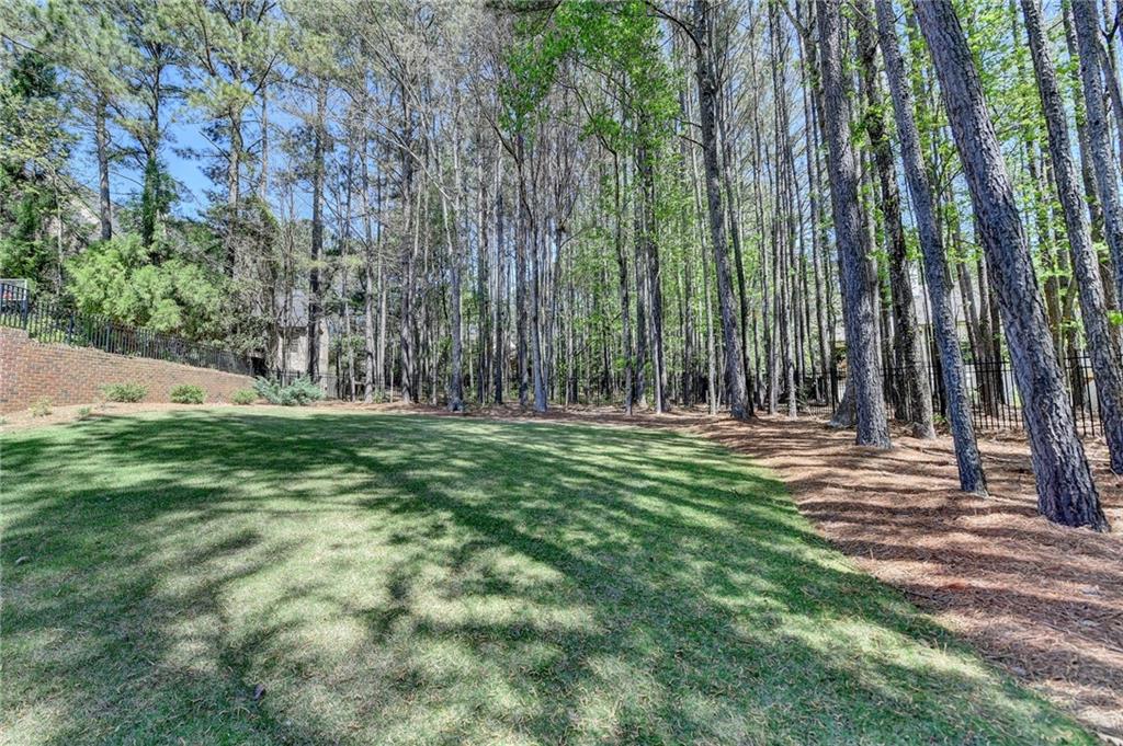 4505 Whitestone Way Property Photo 90