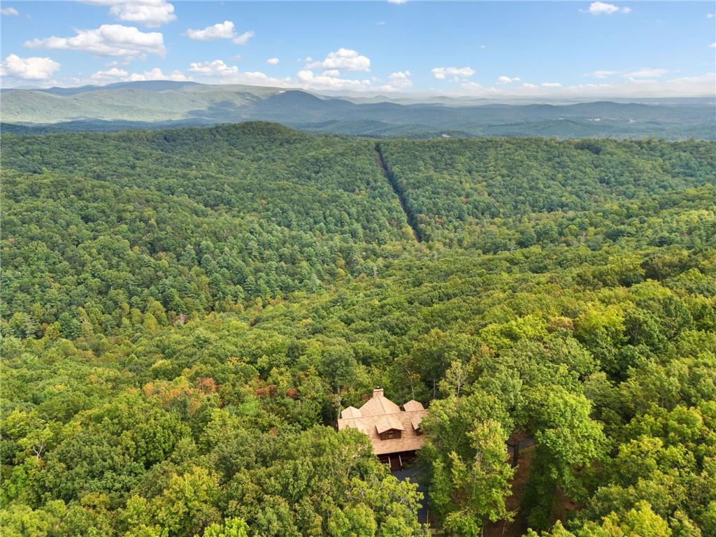 1703 Upper Sassafras Parkway Property Photo 82