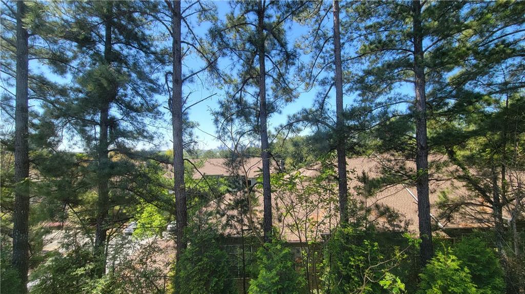823 Canterbury Overlook Property Photo 38