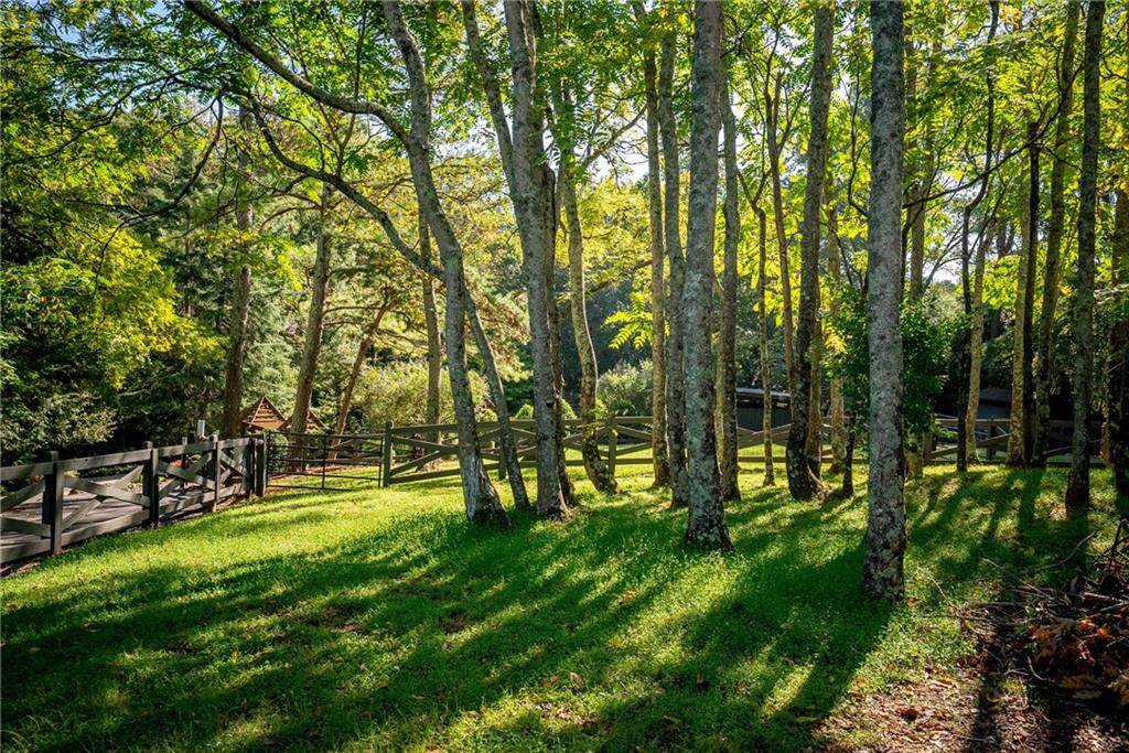 3550 Knight Road Property Photo 89