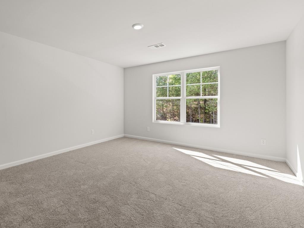 73 Grove Springs Court Property Photo 23