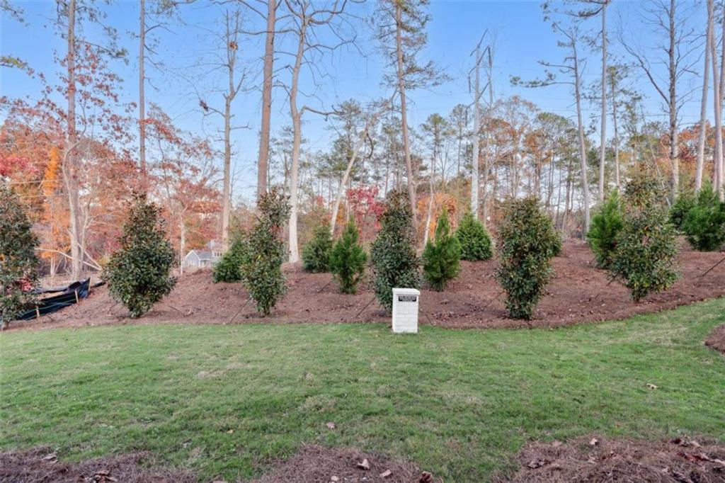 2340 Ellis Mountain Drive Property Photo 10