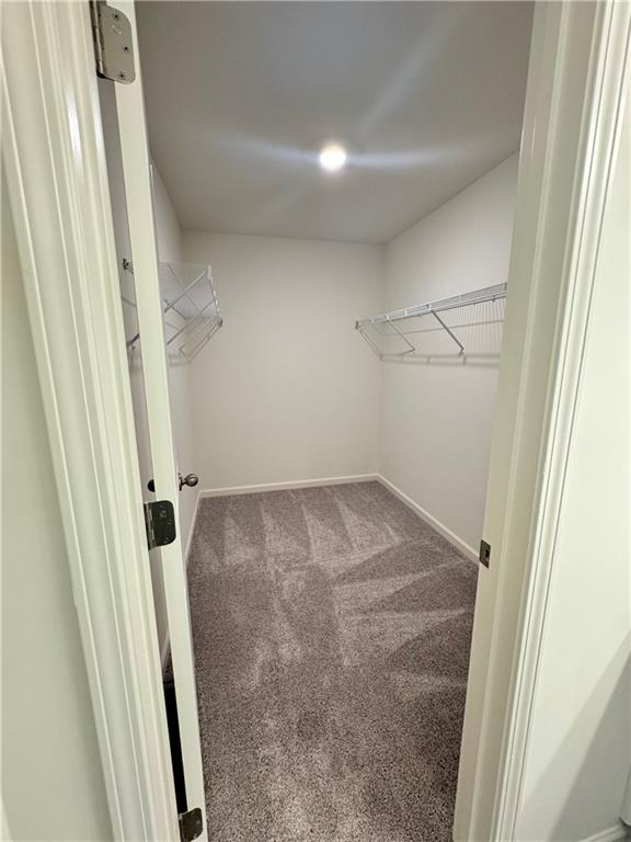 243 Rydal Way Property Photo 6