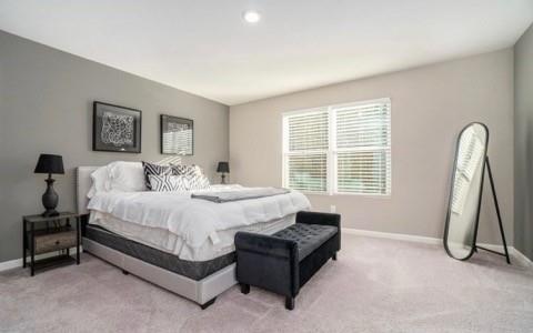 243 Rydal Way Property Photo 20