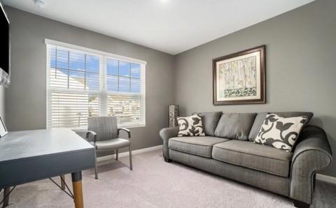 243 Rydal Way Property Photo 22