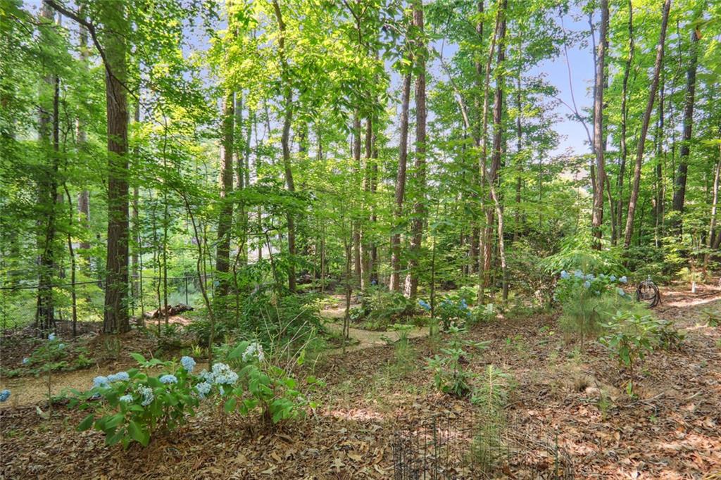 3704 Wilkins Circle Property Photo 43