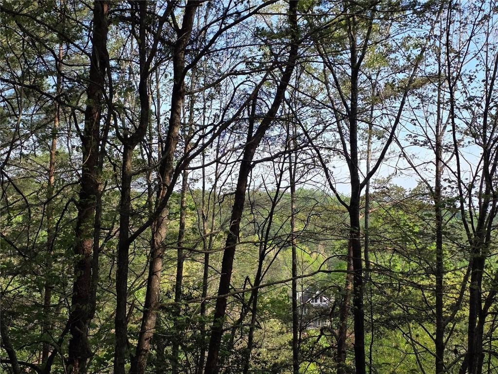 0 Rosen Strasse Property Photo 3
