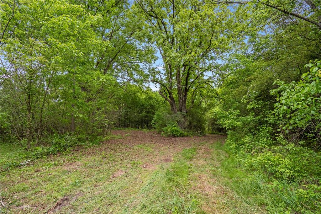 0 Mountain Road Property Photo 7