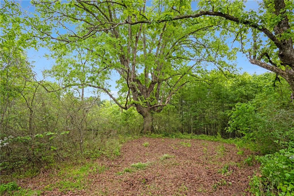 0 Mountain Road Property Photo 9