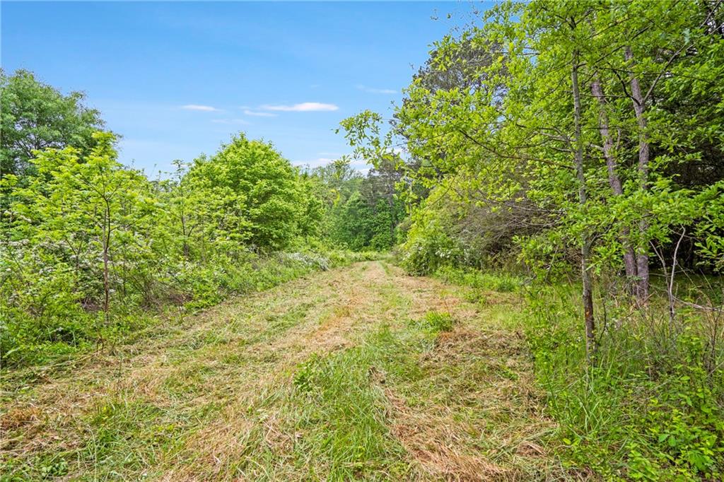 0 Mountain Road Property Photo 12
