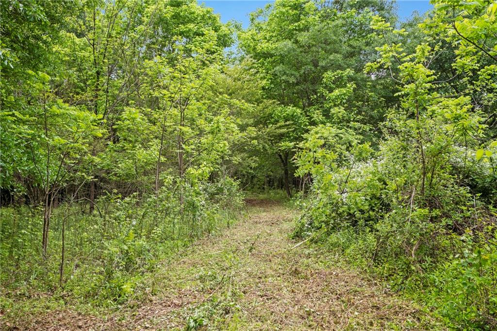 0 Mountain Road Property Photo 14