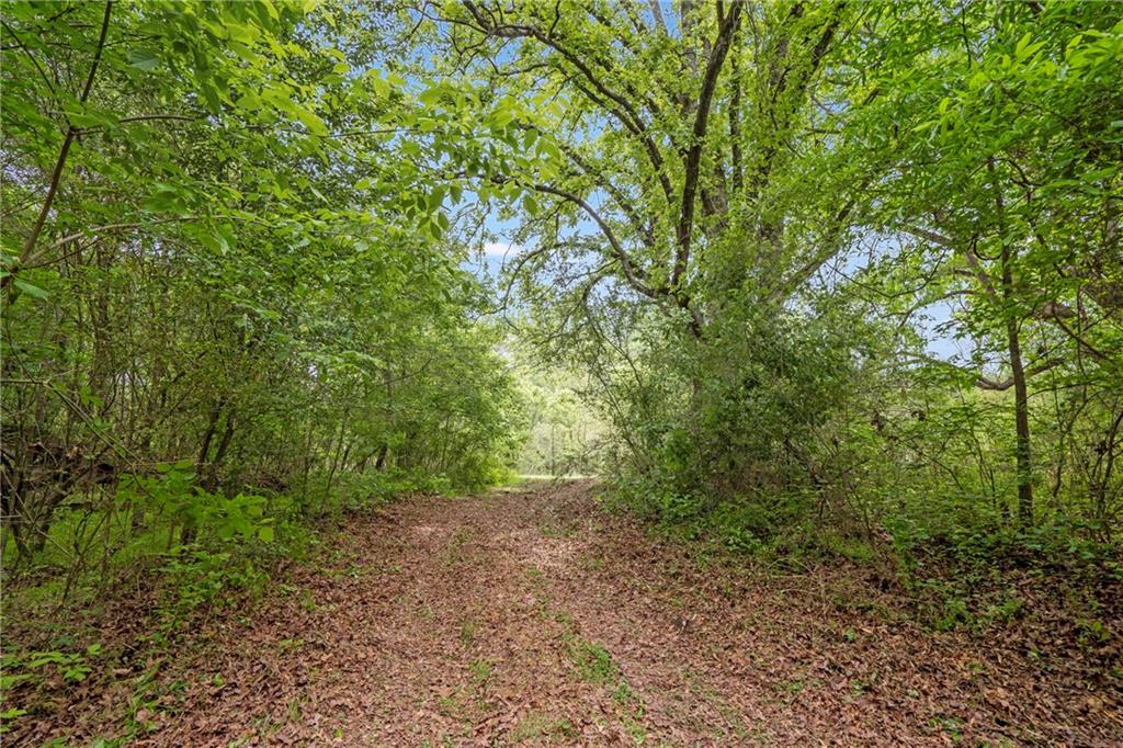 0 Mountain Road Property Photo 5