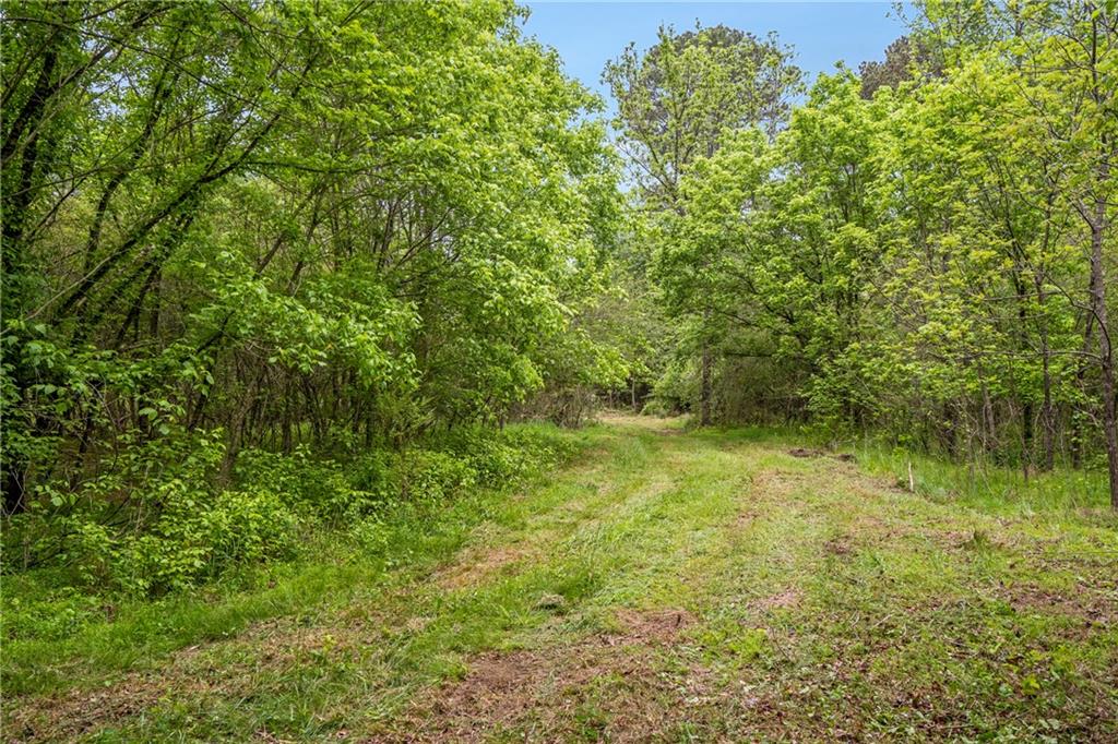 0 Mountain Road Property Photo 6