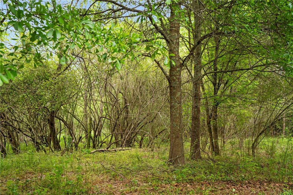 0 Mountain Road Property Photo 15