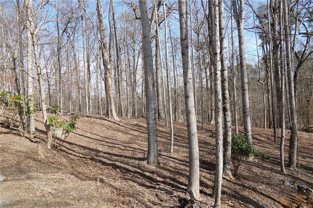 0 Hawk Run Property Photo 6