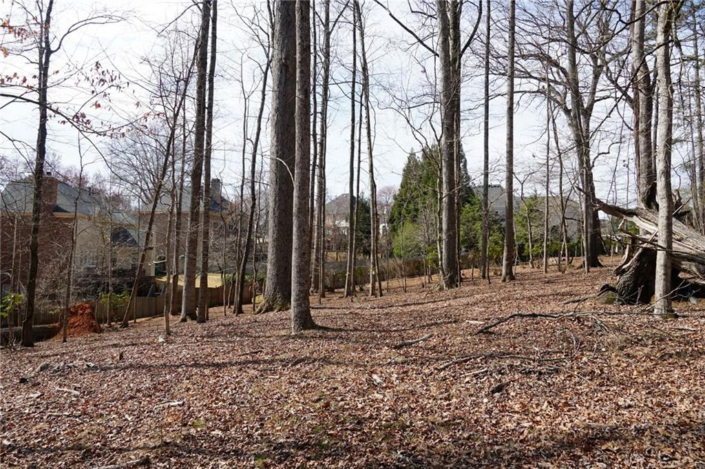 0 Hawk Run Property Photo 7