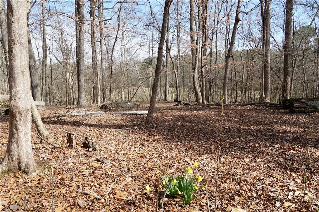 0 Hawk Run Property Photo 9