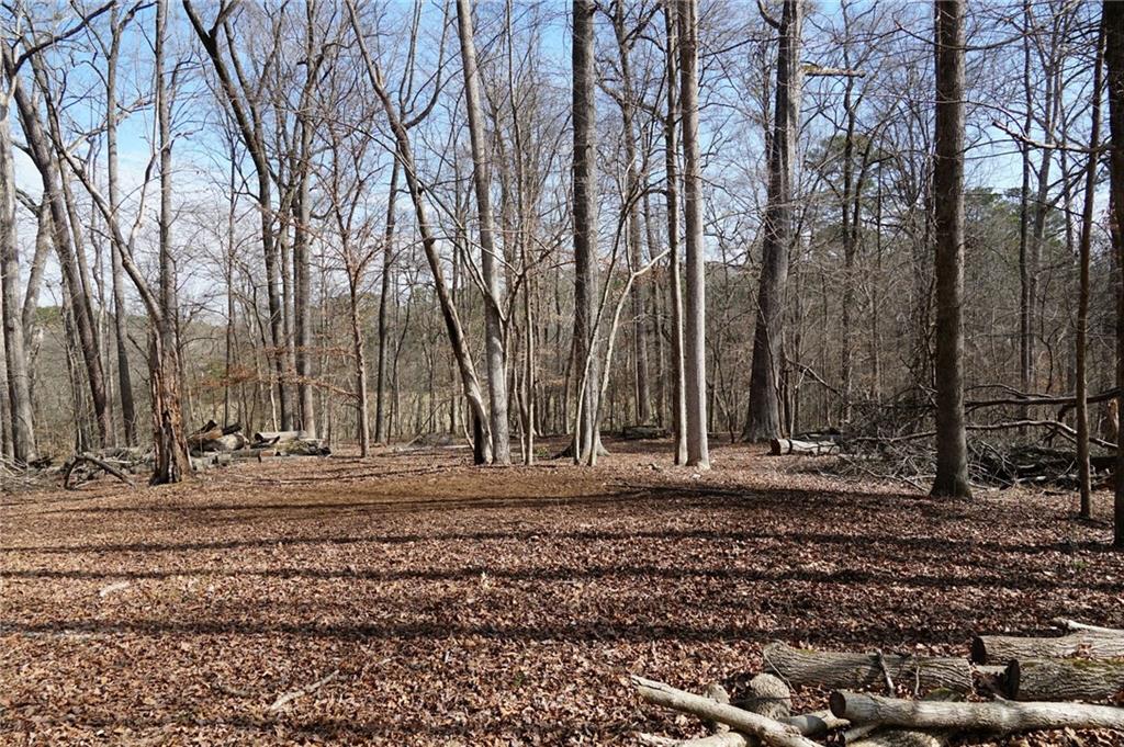 0 Hawk Run Property Photo 10
