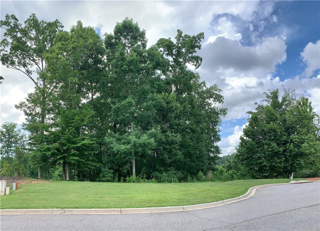 4920 Roaring Fork Pass Property Photo 6