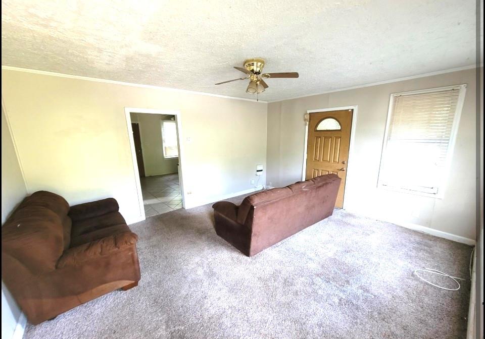6835 Roosevelt Highway Property Photo 7