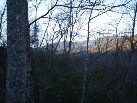 8182 Red Maple Lane Property Photo 1