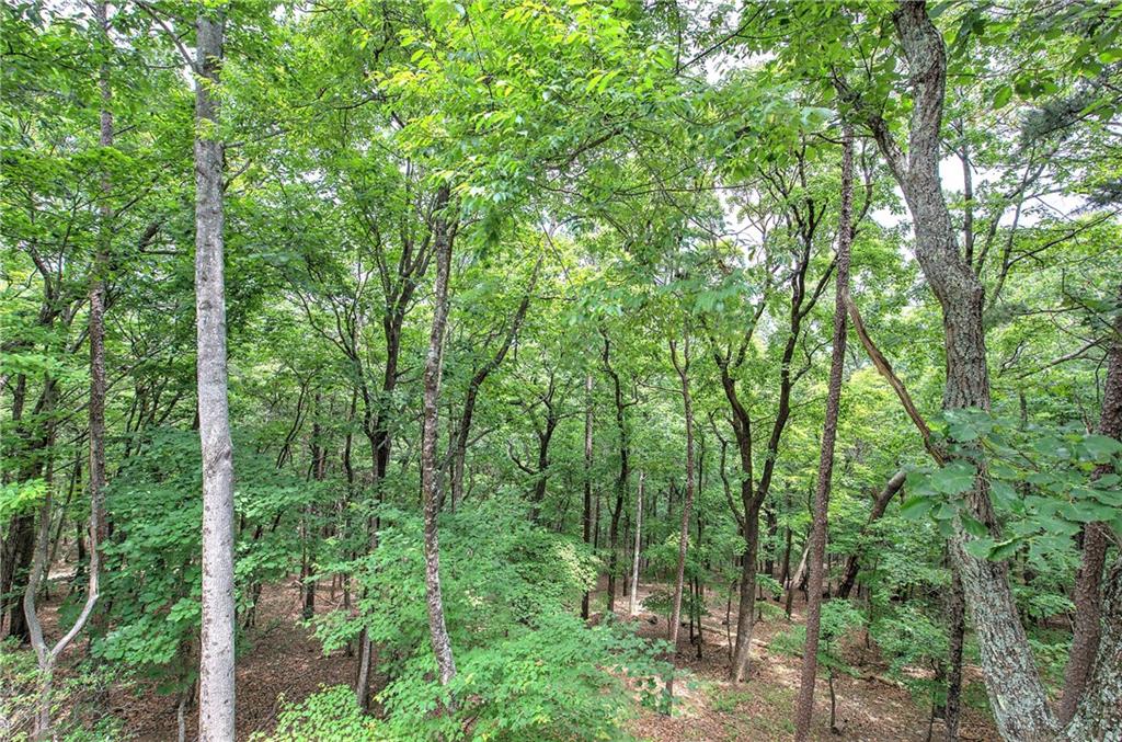214 South View Trail Property Photo 30