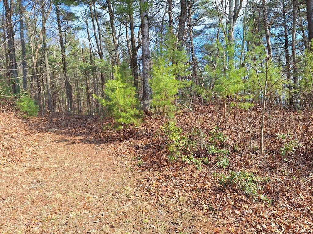Lot2 Summit Pass Property Photo 9