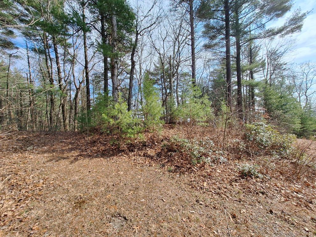 Lot2 Summit Pass Property Photo 10