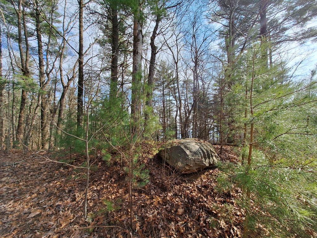 Lot2 Summit Pass Property Photo 11