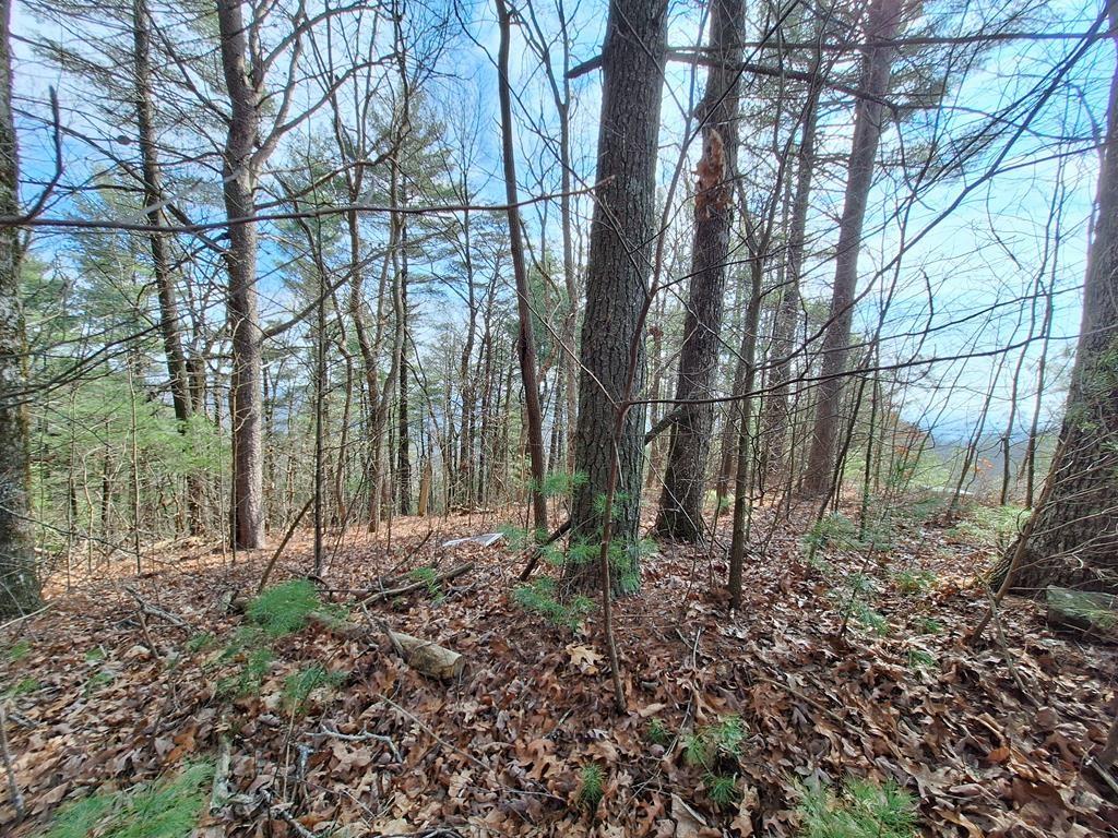 Lot2 Summit Pass Property Photo 12