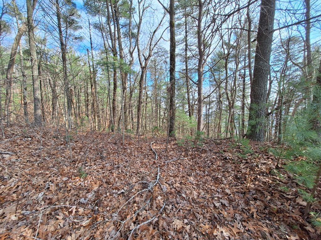 Lot2 Summit Pass Property Photo 13