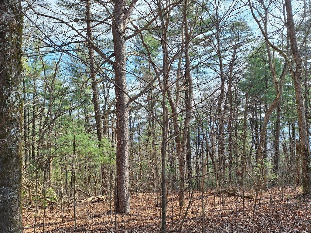 Lot2 Summit Pass Property Photo 14