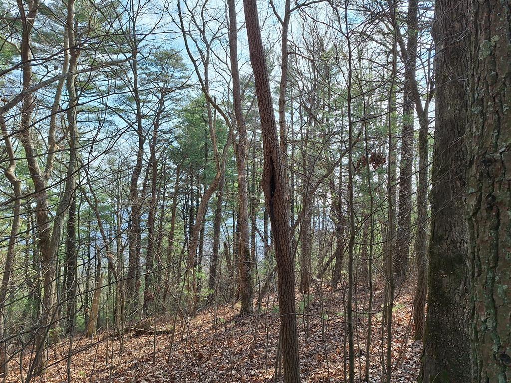 Lot2 Summit Pass Property Photo 15