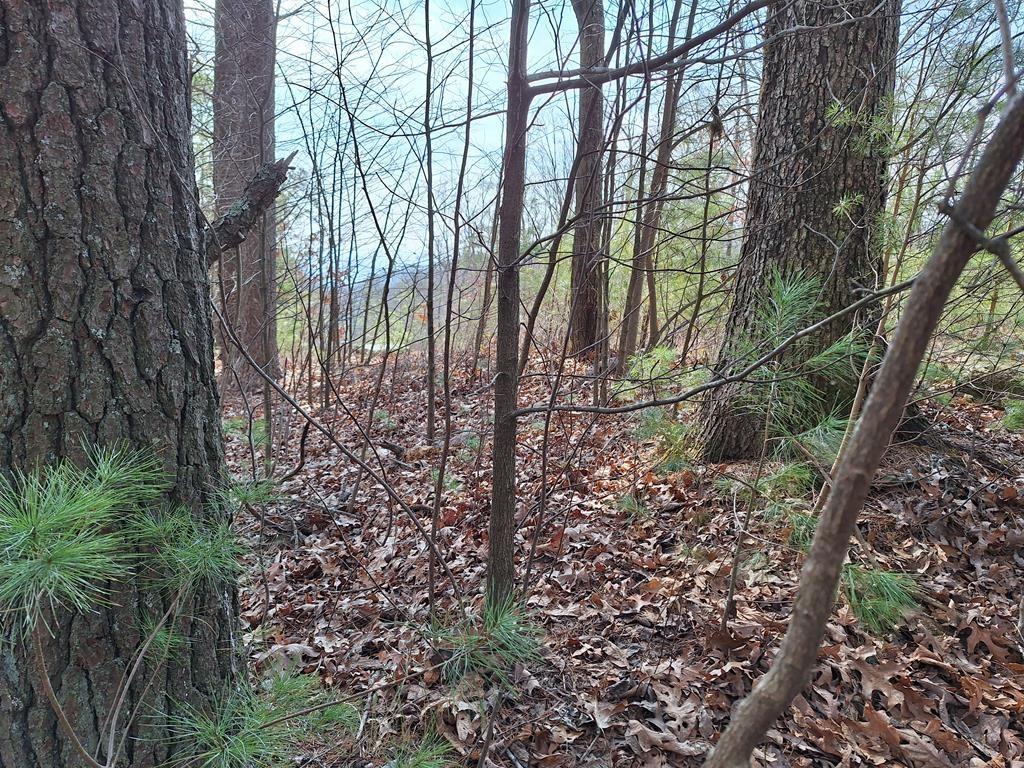Lot2 Summit Pass Property Photo 16