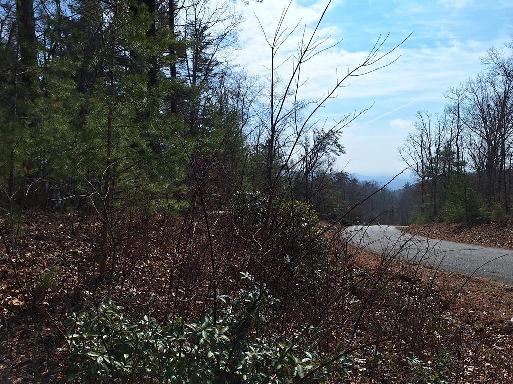 Lot2 Summit Pass Property Photo 17
