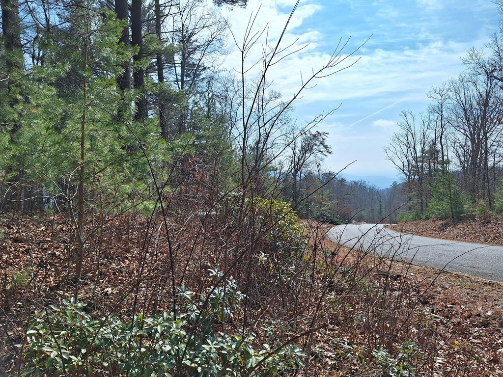 Lot2 Summit Pass Property Photo 18