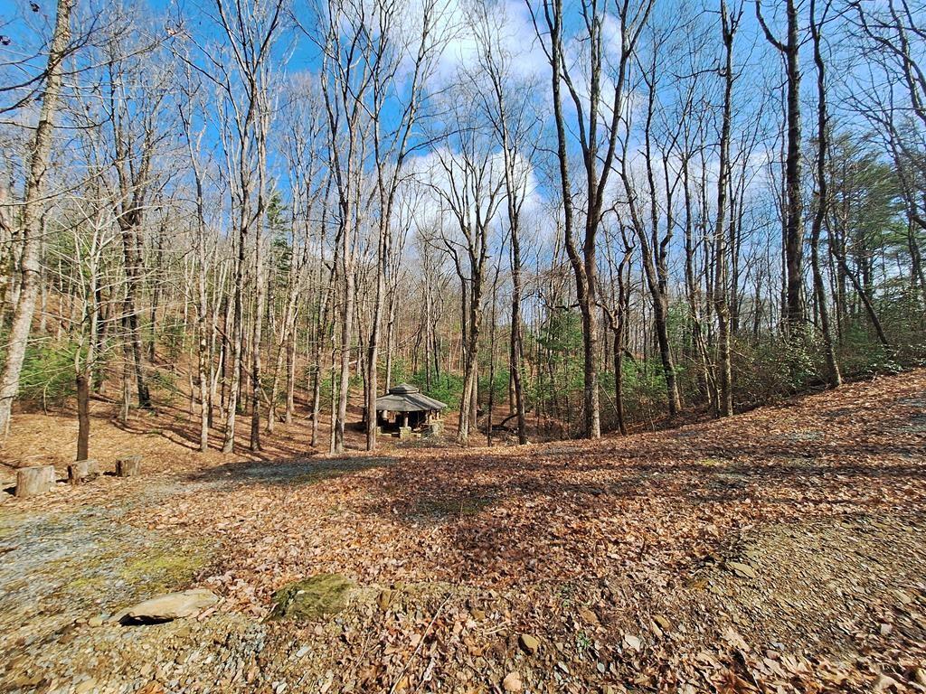 Lot2 Summit Pass Property Photo 25