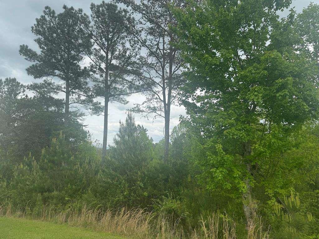 L231 Ridge Point Way Property Photo 1